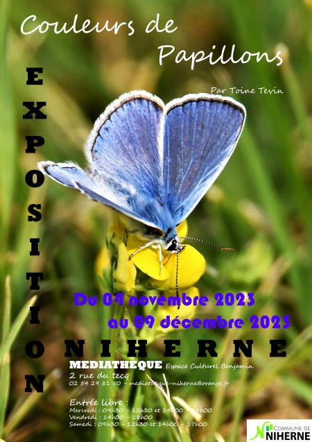 Affiche expo papillons Toine Tevin nov déc 2023